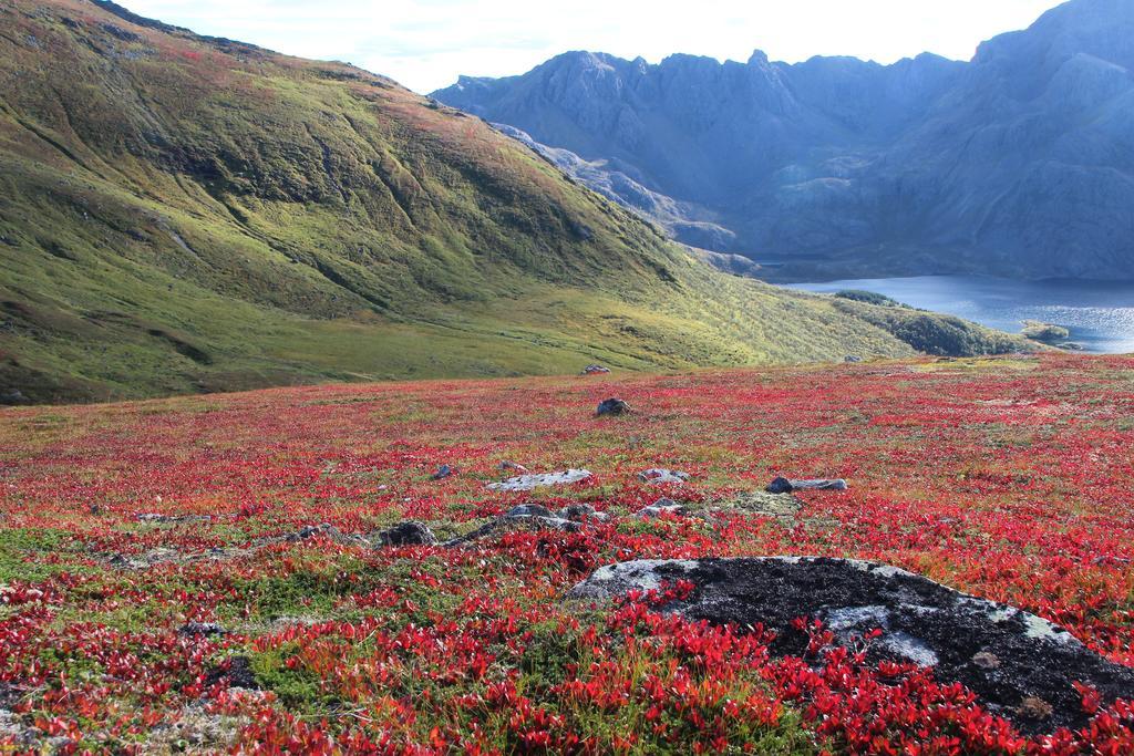Frugga Feriehus Og Leilighet Straumsjoen Extérieur photo