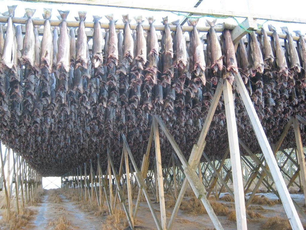 Frugga Feriehus Og Leilighet Straumsjoen Extérieur photo